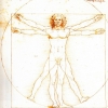 L'HOMME DE VITRUVE